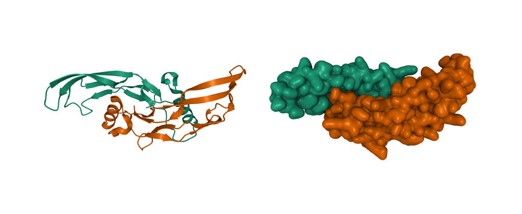 Wissenschaftliche Darstellung eines Proteins
