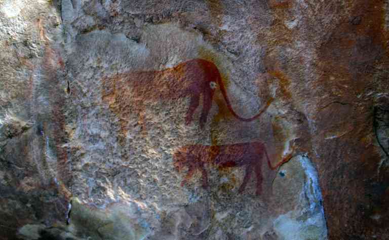 Felskunst mit 2 Löwen