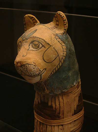 Katzenmumie mit Maske, ausgestellt im Louvre