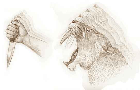 Smilodon Vergleich mit Messer