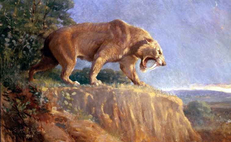 Smilodon Malerei