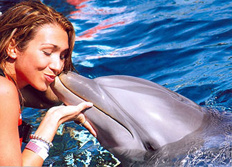 Delfin mit Frau